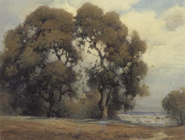 California landscape, unknow artist